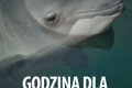 Godzina dla Ziemi w Hotelu Anders