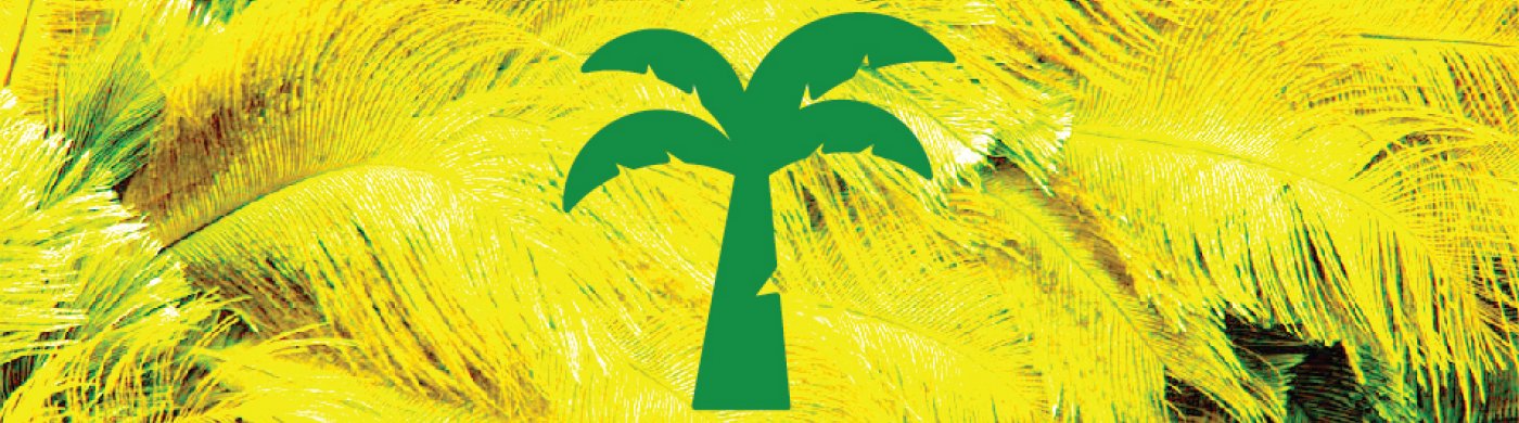 BRAZYLIJSKIE ANDRZEJKI