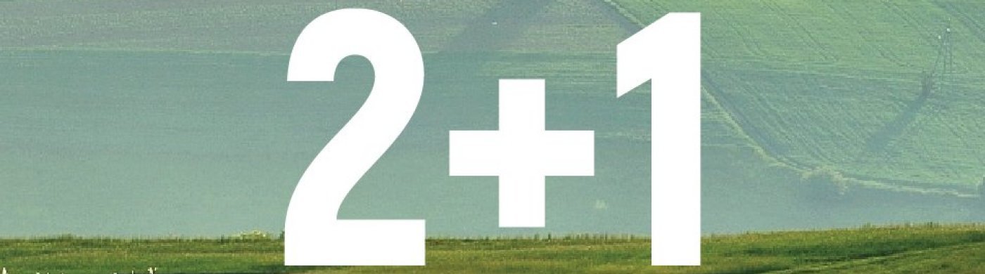 WIOSENNA PROMOCJA 2+1
