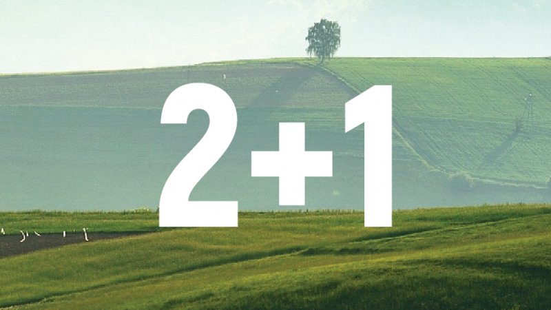 WIOSENNA PROMOCJA 2+1