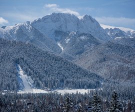 Puchar Świata w skokach narciarskich