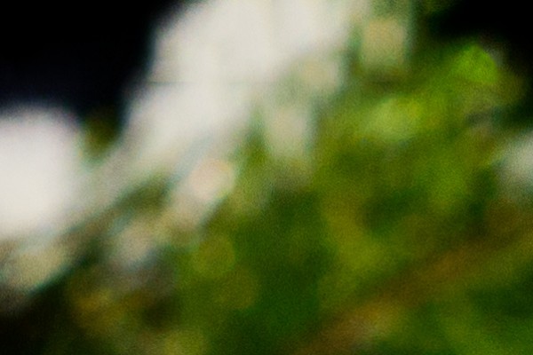 AdobeStock_1260493221.jpeg