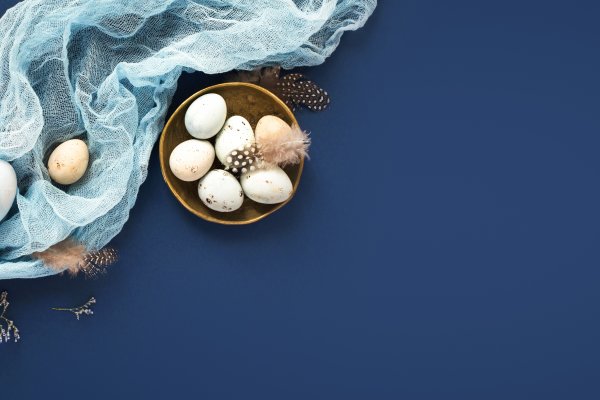 AdobeStock_315016095.jpeg