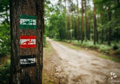 Nordic Walking - Białobrzegi 
