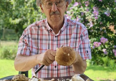 Grzybobranie z Pasją