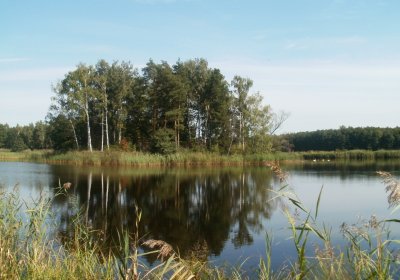 Nordic Walking - Białobrzegi 