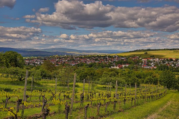 INGSpring2019viewfromWesterberg.jpg