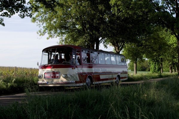 Nostalgiebus3S14.jpg