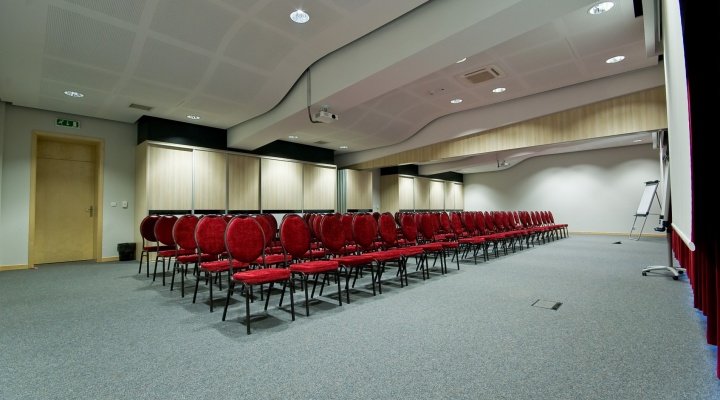 Conferences and trainings
