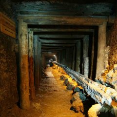 Wycieczka do Kopalni Soli w Wieliczce