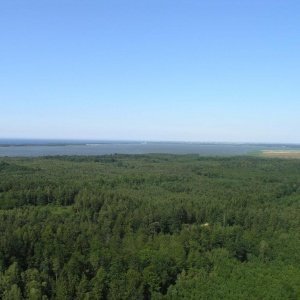 Jezioro Bukowo