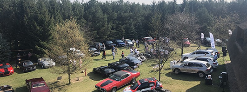 HOT_cars w HOT_elarni