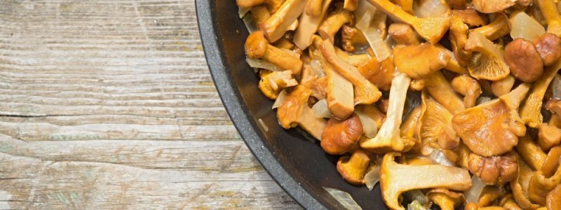 Nowe menu sezonowe - kurki!
