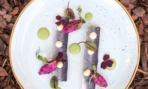 Popisowe dania rybne, pięknie udekorowane ziołami są tworzone dla Gości Hotelu Hanza z pasją i sercem
