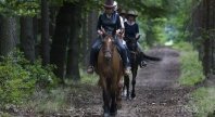 2017-05-23 - Hobby Horsing Show w Zamku Kliczków - 17.06