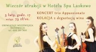 2017-01-07 - Koncert charytatywny 05.02.2017