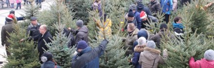 VI Międzyzdrojski Jarmark Świąteczny i Festiwal Choinki - grudzień 2020