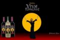 Viva Flamenco show