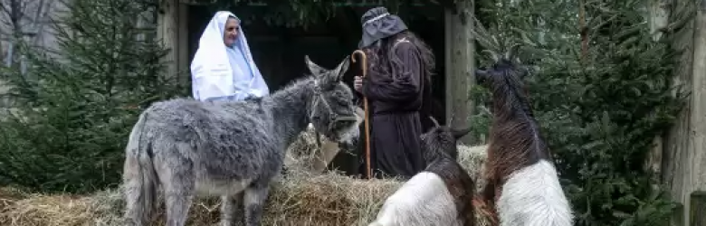 Live Nativity Scene at Kraków’s ZOO