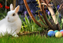 Ostern 2018 im Grashof