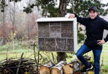 Landhotel Grashof bietet jetzt auch Insekten ein eigenes Hotel