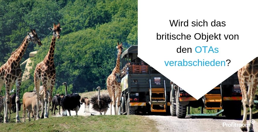 12,94 % Konversionsrate - entdecken Sie das Erfolgsgeheimnis von Port Lympne Hotel & Reserve