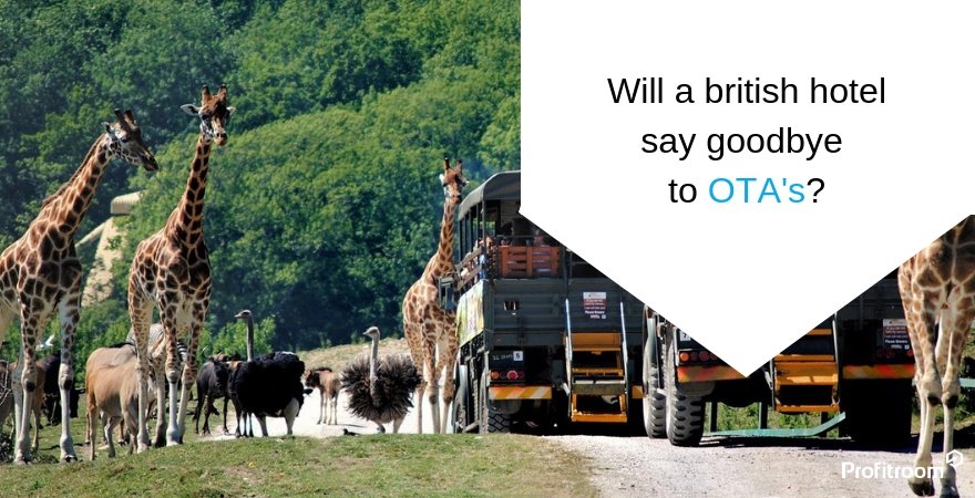Port Lympne Hotel & Reserve achieves conversion rate of 12.94% - find out how they did it
