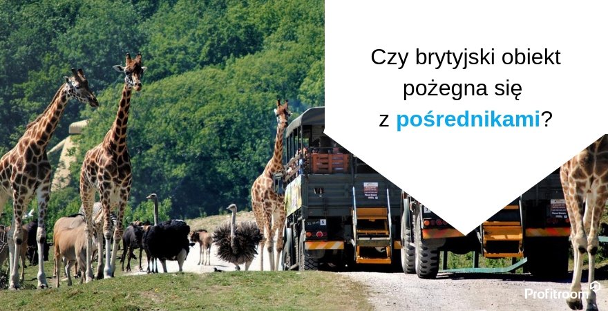 Współczynnik konwersji na poziomie 12,94% - poznaj tajemnicę sukcesu Port Lympne Hotel & Reserve