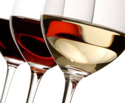 Degustacja win Zuccardi 