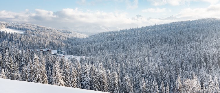Gdzie wyjechać w styczniu, aby szybko naładować baterie? Poznaj nasze propozycje
