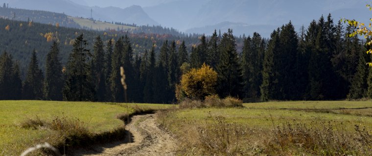Najpiękniejsze szlaki w Bukowinie Tatrzańskiej – nie tylko dla wprawnych piechurów