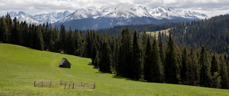 Czerwcówka – gdzie wyjechać na długi weekend czerwcowy (i dlaczego najlepszy kierunek to Bukowina Tatrzańska)?