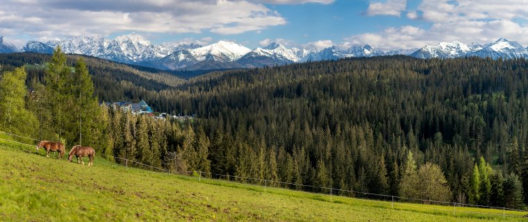 22 kwietnia – Dzień Ziemi. Termy BUKOVINA to idealne miejsce do świętowania tego ważnego dnia.