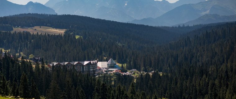 Historia Term BUKOVINA