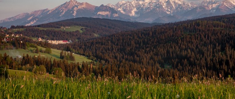 Szukasz pomysłu na weekendowy wyjazd z Krakowa/Tarnowa? Odwiedź Termy BUKOVINA!