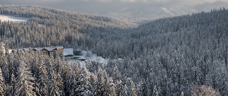 Termy Podhale. Idealny wybór na pierwszy raz z termami