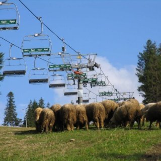 Wyciąg Wierchomla I czynny od 7 do 8 maja