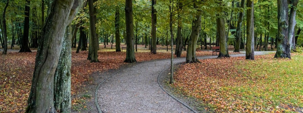 Najpiękniejsze parki w okolicach Warszawy – 4 nasze propozycje!