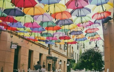 Najbardziej kolorowy ogródek przy Piotrkowskiej w Łodzi