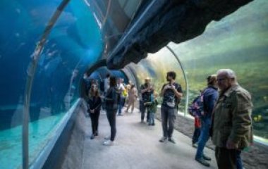 Majówka 2025 w Łodzi - moc atrakcji dla każdego