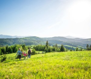Jak zaplanować wakacje w Beskidach? Przewodnik po atrakcjach, szlakach i noclegach w Ustroniu