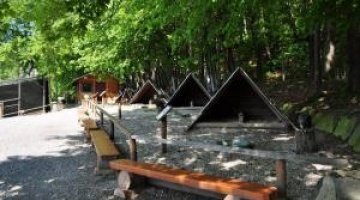 Leśny Park Niespodzianek