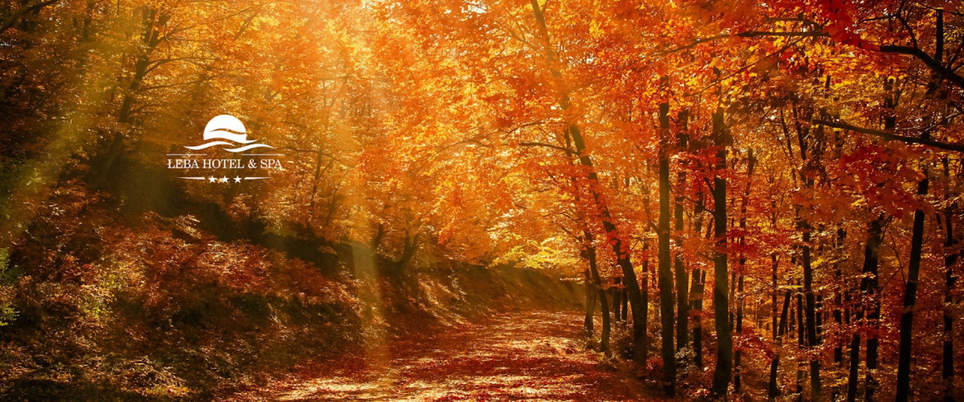 shutterstock_77740090