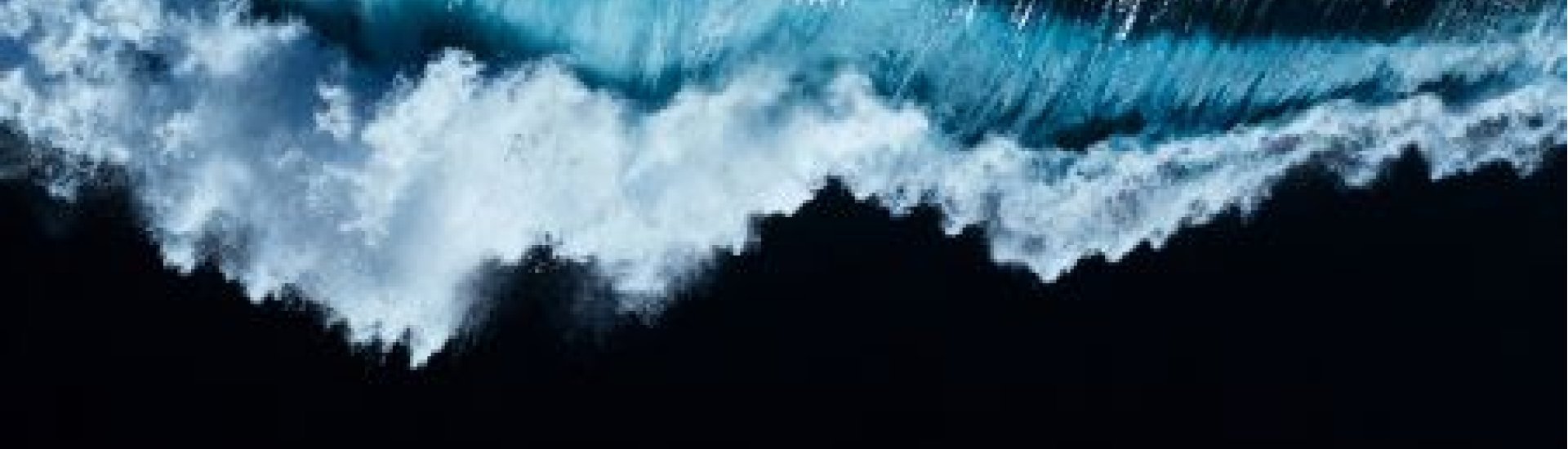 Morze Rabatów – Black Week w Hotelu Senator