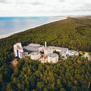 Jakie korzyści przynosi spacer po lesie sosnowym?