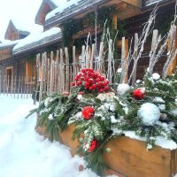 Wigilia i Boże Narodzenie - oferta 