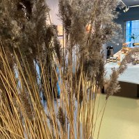 Seminarium: Trzcina - wyzwania i możliwości.