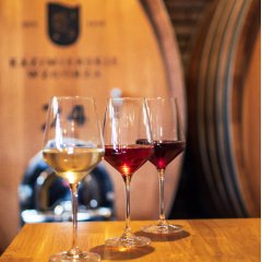 Kazimierski Festiwal Wina – poczuj klimat naszego regionu (11-13 lipca)