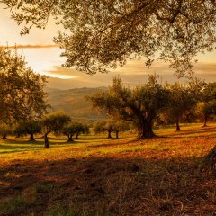 Wakacje w Kazimierzu Dolnym – co warto zobaczyć?