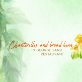 New summer insert in George Sand!